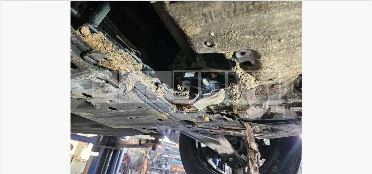 Photo 2 of 12: 2021 Kia (parts) Sorento Mission — Korean insurance auction