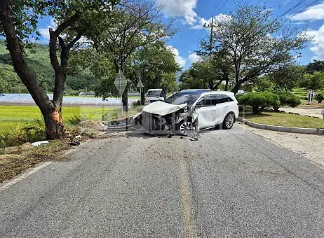 Photo 2 of 8: 2018 Kia Sorento — Korean insurance auction