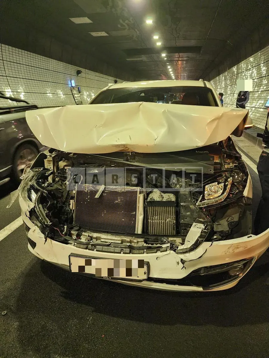 Photo 2 of 7: 2015 Kia Carnivals — Korean insurance auction