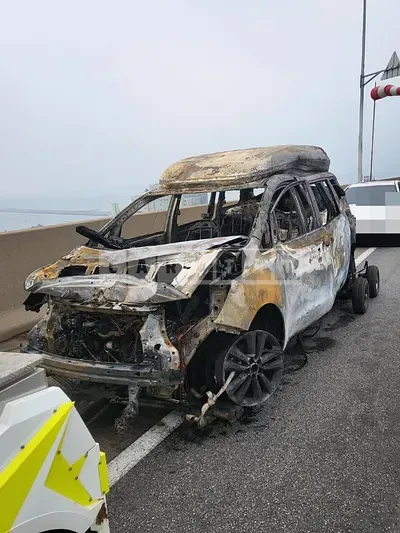 Photo 1 of 3: 2015 Kia Carnival High Rimmujin — Korean insurance auction