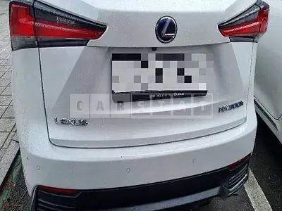 Photo 1 of 35: 2019 Lexus NX300h — Korean insurance auction