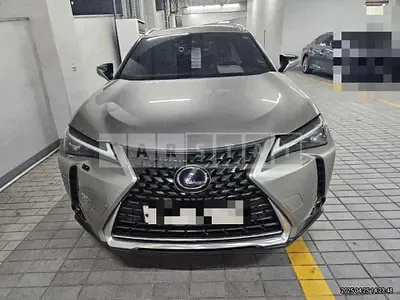 Photo 1 of 8: 2019 Lexus UX250h AWD — Korean insurance auction