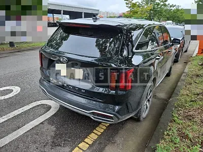 Photo 1 of 14: 2020 Kia Sorento 2.2 (4th Generation), VIN KNARF81BGMA044646 — Korean insurance auction