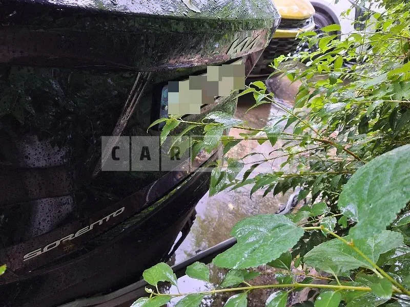 Photo 2 of 89: 2022 Kia Sorento 1.6 Hybrid — Korean insurance auction