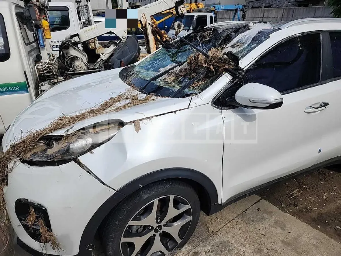 Photo 2 of 35: 2016 Kia Chimsportage 2.0, VIN KNAPN813BGK149827 — Korean insurance auction