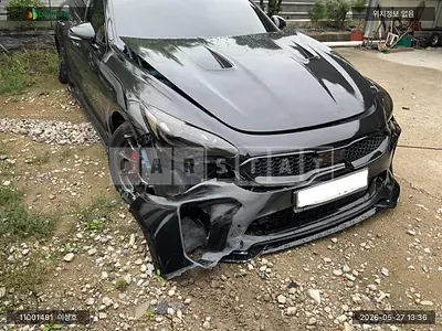 2018 Stinger stinger