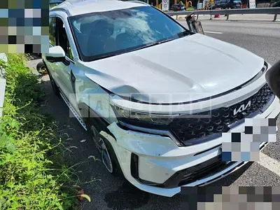 Photo 1 of 42: 2022 Kia Sorento Hybrid — Korean insurance auction