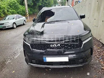 Photo 1 of 17: 2021 Kia Sorento /Sorrento, VIN KNARK81BHNA116251 — Korean insurance auction