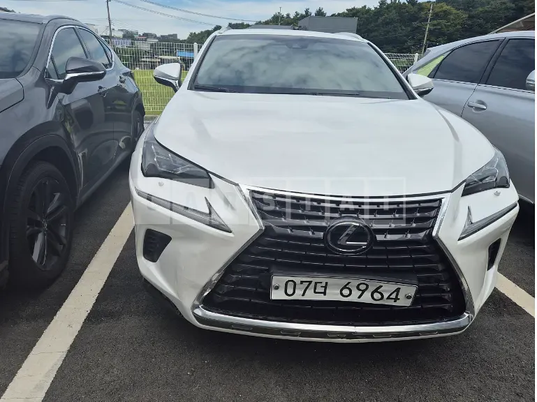 Photo 2 of 34: 2019 Lexus NX300h — Korean insurance auction