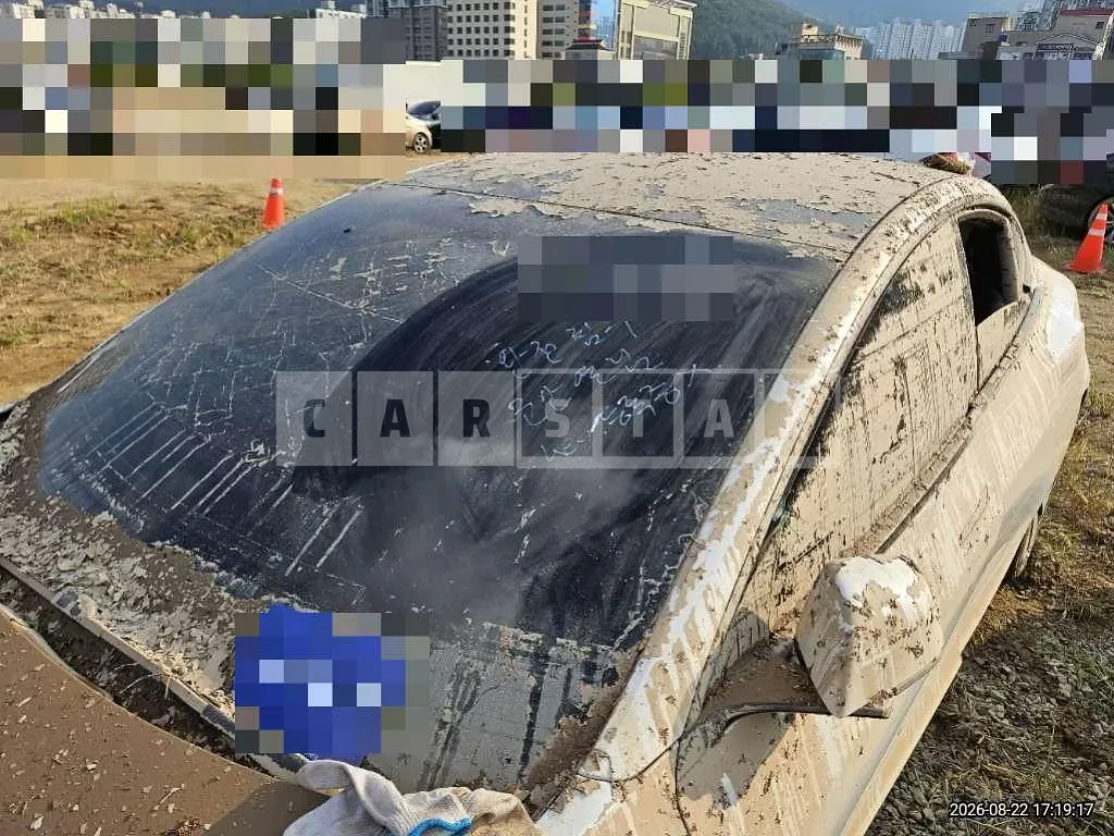Photo 2 of 6: 2024 Tesla Model 3 RWD — Korean insurance auction