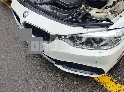 Photo 1 of 11: 2015 BMW 침 420d xDrive Gran Cup — Korean insurance auction