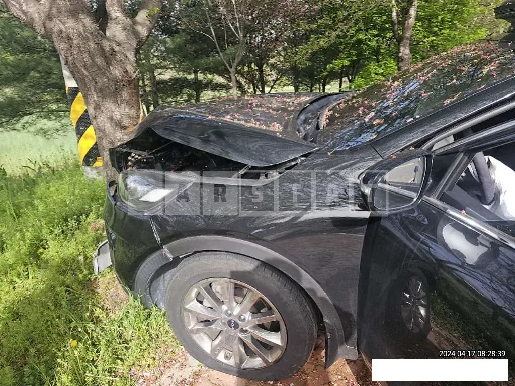 Photo 2 of 17: 2015 Kia Sorento — Korean insurance auction
