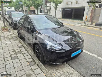 2023 Tesla Model Y RWD