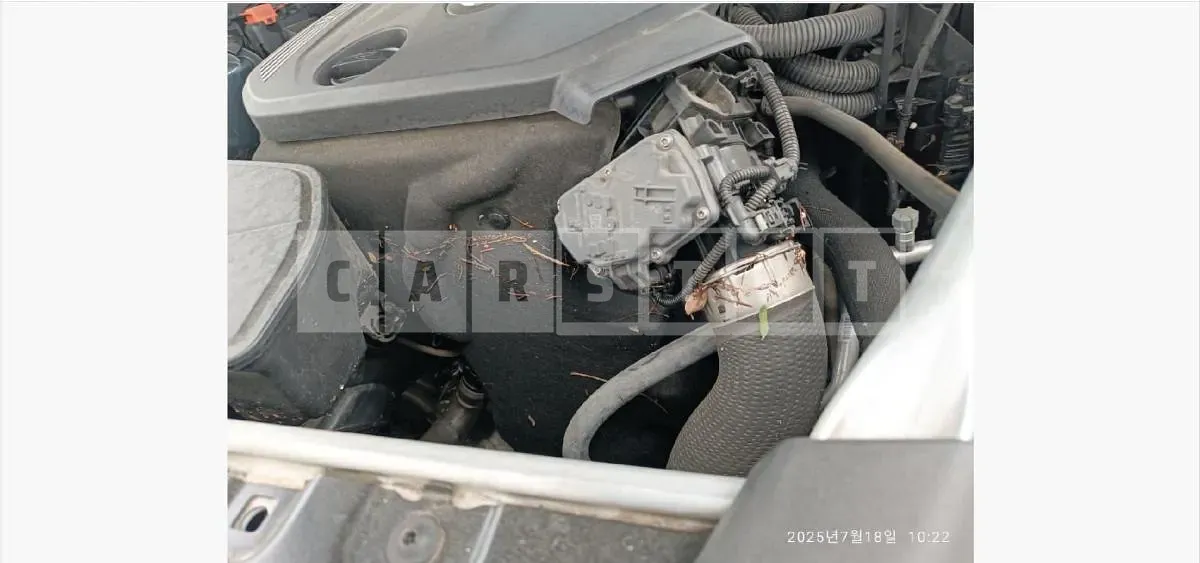 Photo 2 of 14: 2019 BMW 520d M Sport Package — Korean insurance auction