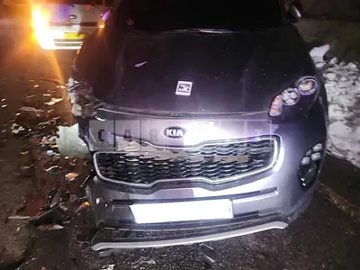 Photo 1 of 20: 2015 Kia Sportage, VIN KNAPN813BGK003688 — Korean insurance auction