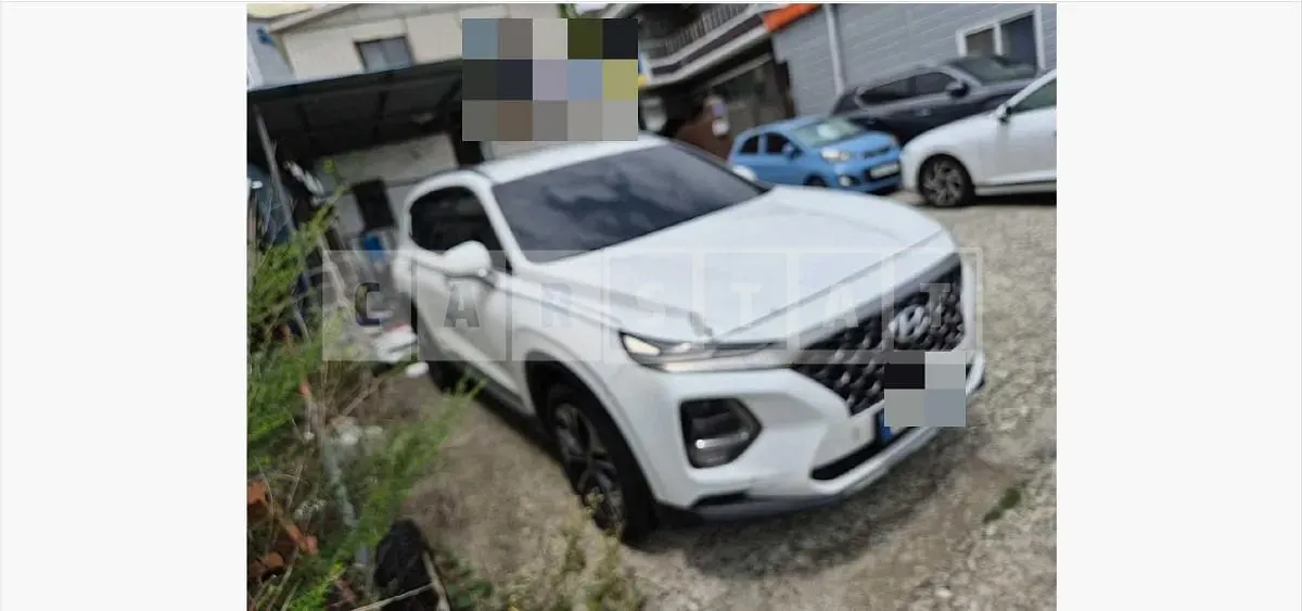 Photo 2 of 24: 2018 Hyundai Santa Fetm Diesel 2.0 4WD — Korean insurance auction