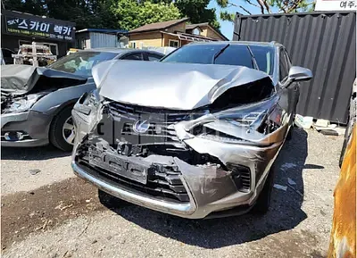 Photo 1 of 9: 2018 Lexus NX300h — Korean insurance auction
