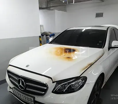 Photo 1 of 10: 2020 Mercedes-Benz E250 — Korean insurance auction