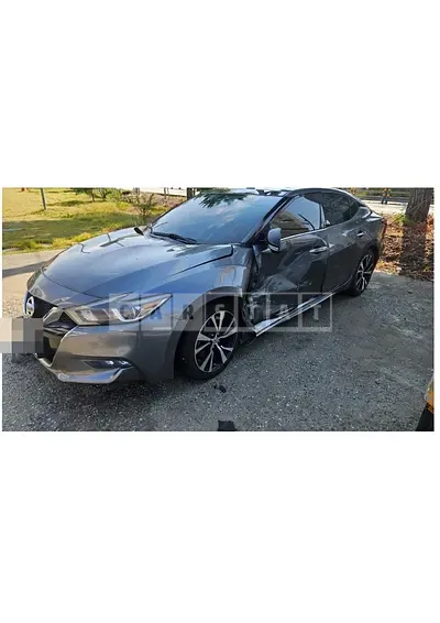 Photo 1 of 11: 2019 Nissan Maxima — Korean insurance auction
