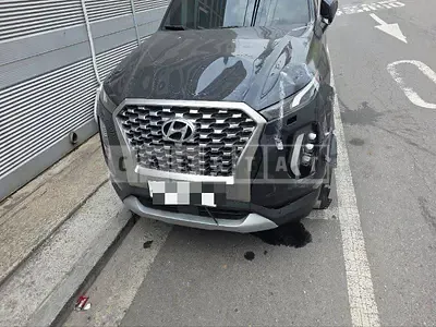 Photo 1 of 29: 2019 Hyundai Palisade Diesel — Korean insurance auction
