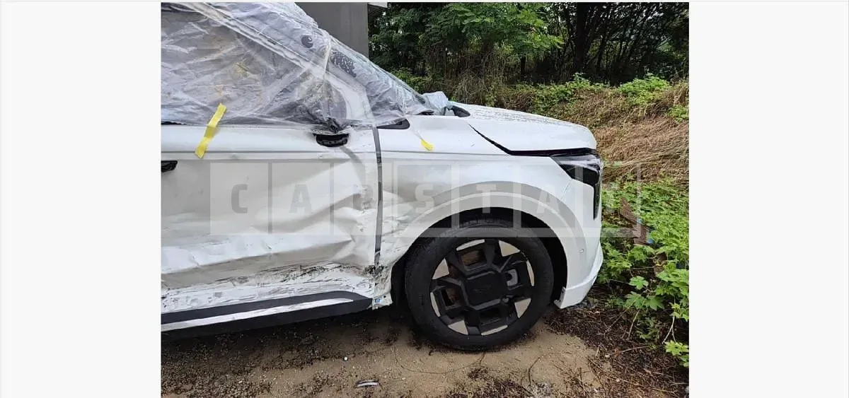 Photo 2 of 46: 2024 Kia Carnival Gasoline — Korean insurance auction