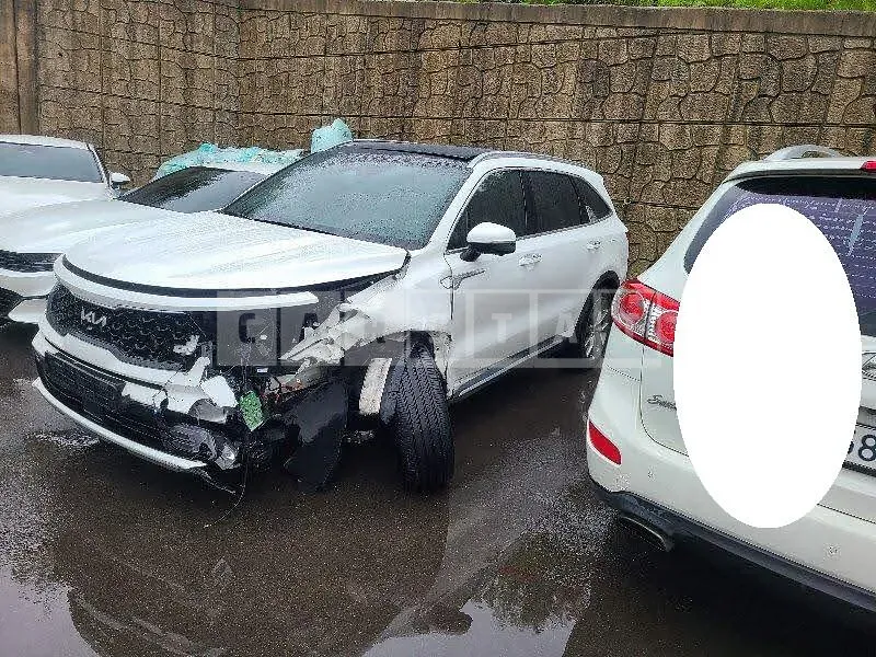 Photo 2 of 18: 2022 Kia Sorento /Sorrento, VIN KNARG81FHPA172850 — Korean insurance auction