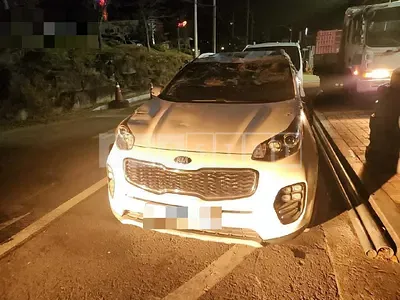 Photo 1 of 16: 2017 Kia Sportage, VIN KNAP6815GJK331327 — Korean insurance auction