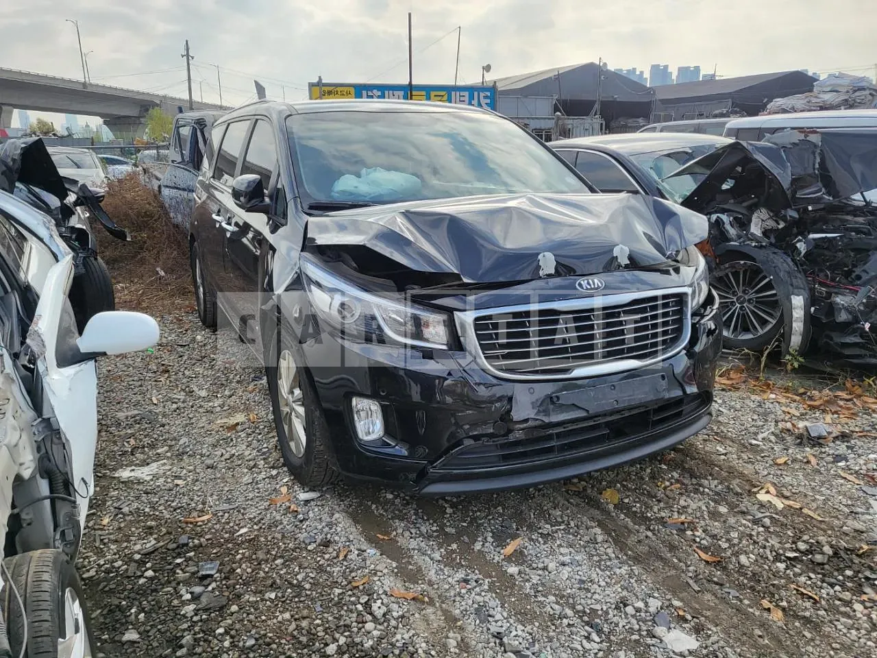 Photo 2 of 7: 2015 Kia Carnival, VIN KNHMF37ABGS154991 — Korean insurance auction