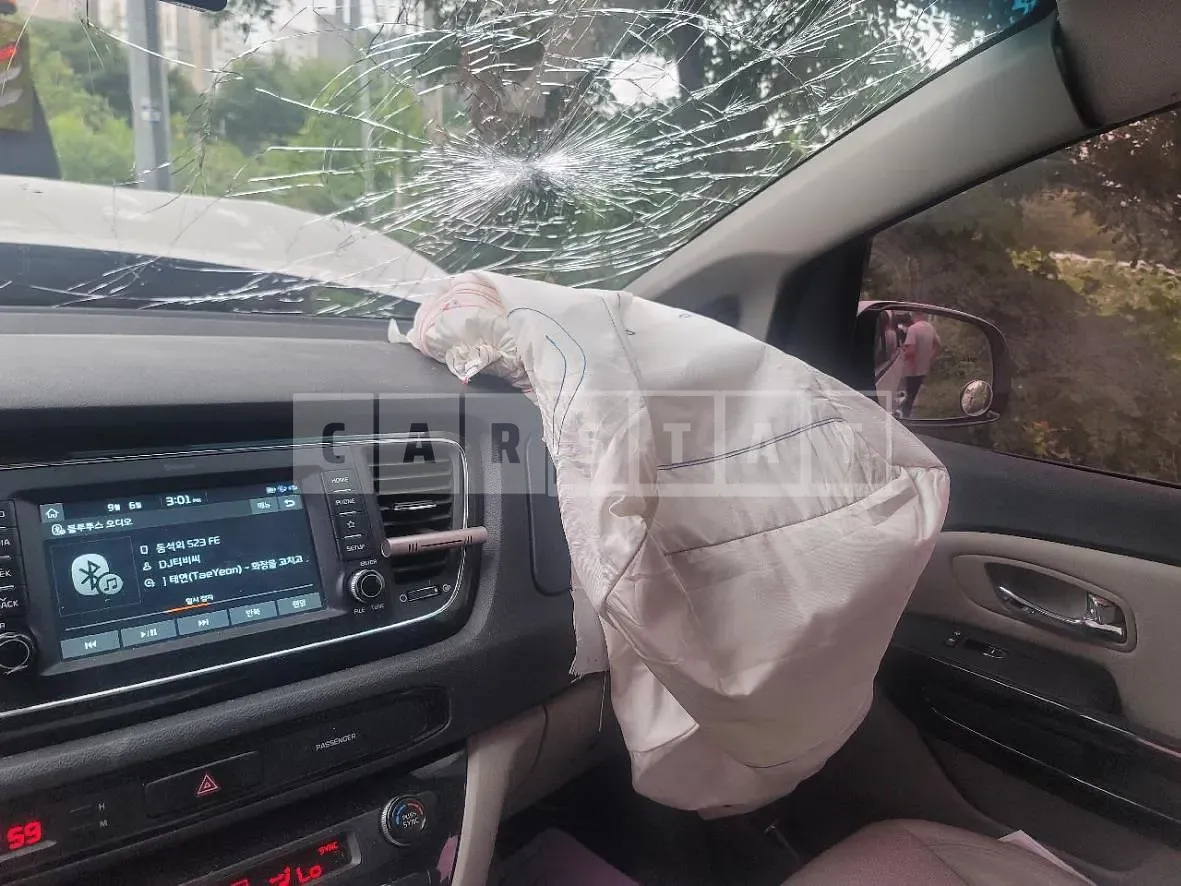 Photo 2 of 9: 2019 Kia Carnivals — Korean insurance auction