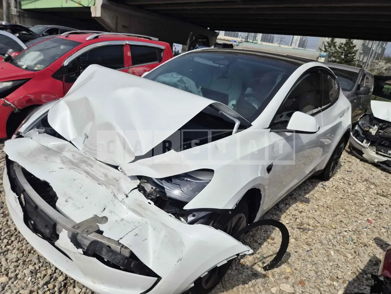 Photo 2 of 14: 2023 Tesla Model Y RWD, VIN LRWYGCFS5RC159906 — Korean insurance auction