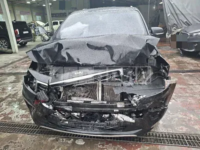 Photo 1 of 16: 2019 Kia Carnivals — Korean insurance auction