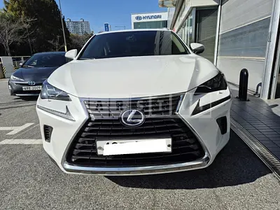 Photo 1 of 11: 2017 Lexus NX300h, VIN JTJBJRBZ2J2082841 — Korean insurance auction