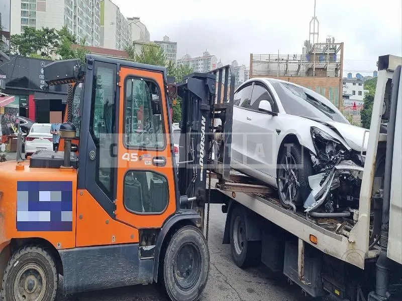 Photo 2 of 40: 2022 Tesla Model 3 Long Range, VIN 5YJ3E1EB1NF149296 — Korean insurance auction