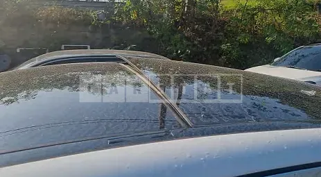 Photo 2 of 9: 2019 Mercedes-Benz E 300, VIN WDDZF4JBXKA697810 — Korean insurance auction