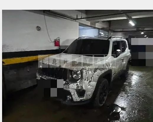 Photo 2 of 18: 2019 Jeep Zip Renegade 2.4 AWD — Korean insurance auction