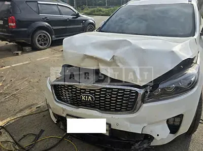 Photo 1 of 17: 2019 Kia Sorento — Korean insurance auction