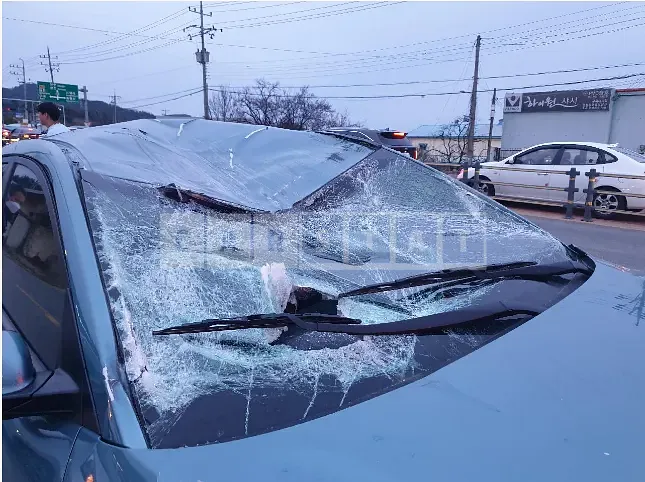Photo 2 of 9: 2019 Hyundai Kona, VIN KMHK3816GKU280918 — Korean insurance auction