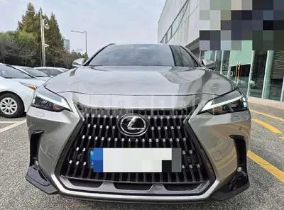 2024 (Parts) Lexus Nx450h+ Light