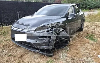 Photo 1 of 50: 2025 Tesla Model Y RWD — Korean insurance auction