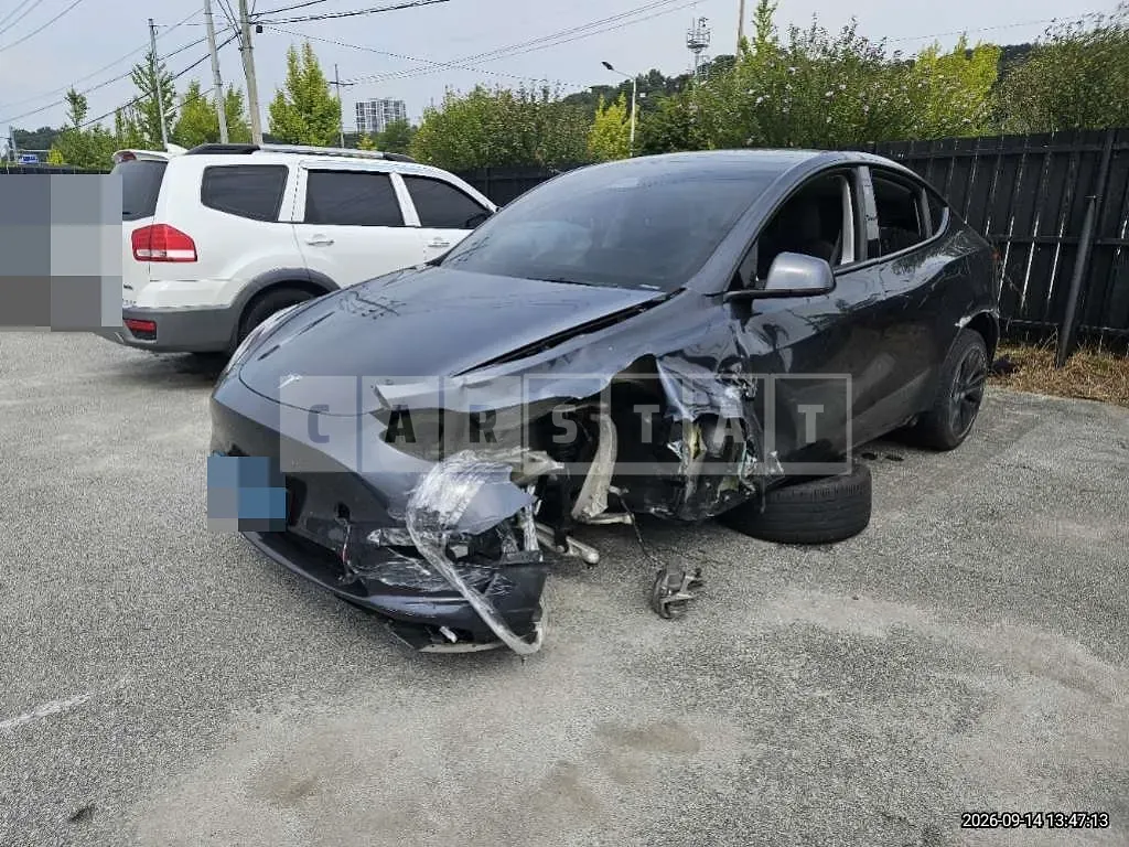 Photo 2 of 14: 2024 Tesla Model Y RWD — Korean insurance auction