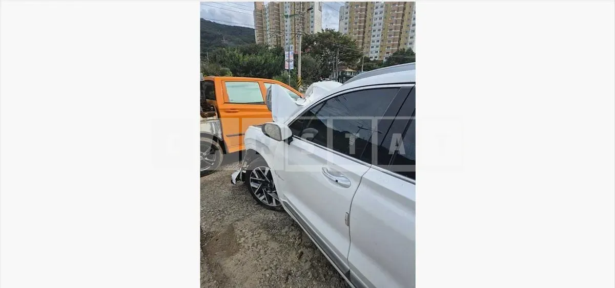 Photo 2 of 41: 2021 Hyundai Santa Fe TM Gasoline — Korean insurance auction