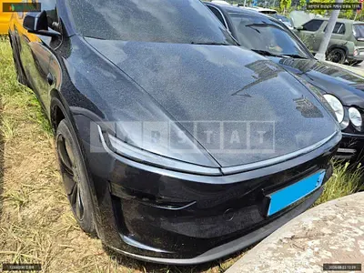 2025 Tesla Model Y RWD