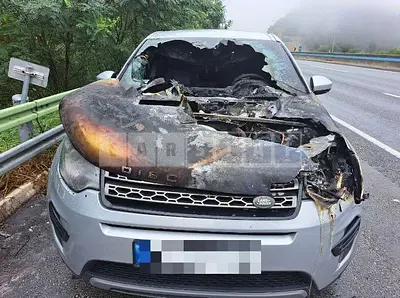 Photo 1 of 6: 2015 Land Rover Discovery Sport 2.0d — Korean insurance auction
