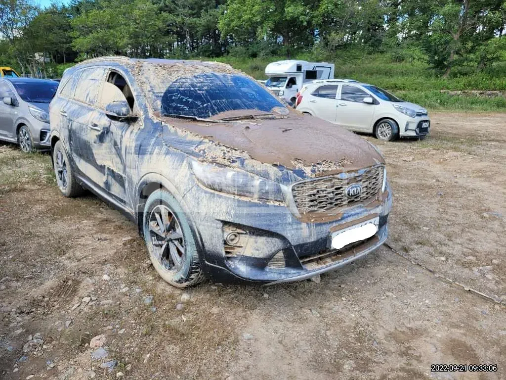 Photo 2 of 12: 2020 Kia Sorento, VIN KNAPG81ABLA626790 — Korean insurance auction