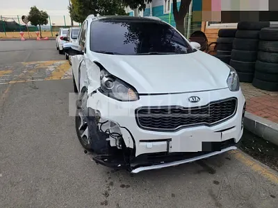 Photo 1 of 13: 2015 Kia Sportage 2.0, VIN KNAPN813BGK008126 — Korean insurance auction