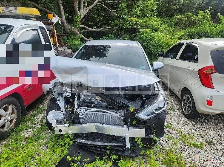 Photo 2 of 6: 2016 Hyundai IONIQ Electric Car — Korean insurance auction