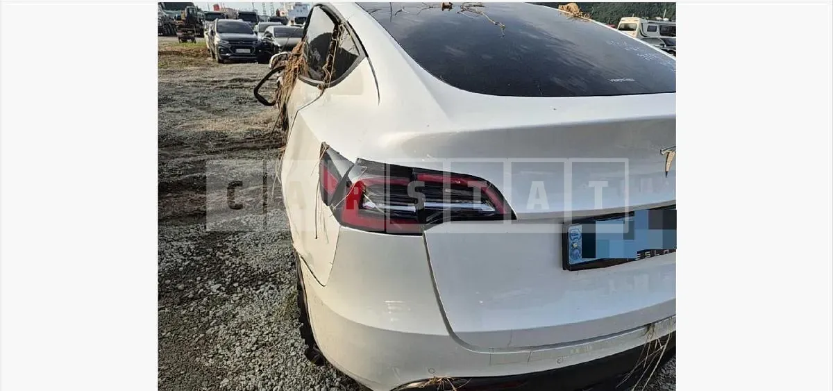 Photo 2 of 8: 2021 Tesla Model Y Standard Range — Korean insurance auction