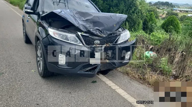 Photo 2 of 8: 2014 Kia Sorento R 2.0 — Korean insurance auction