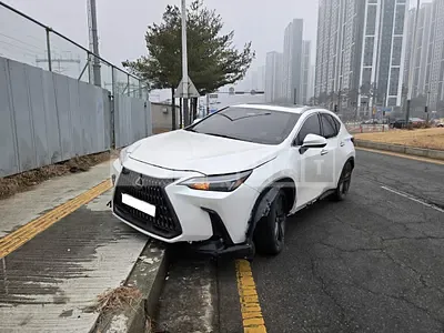 2024 Lexus Lexus NX350h