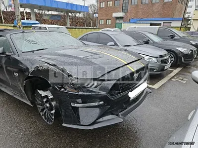 2019 FORD Mustang GT 5.0 Convertible